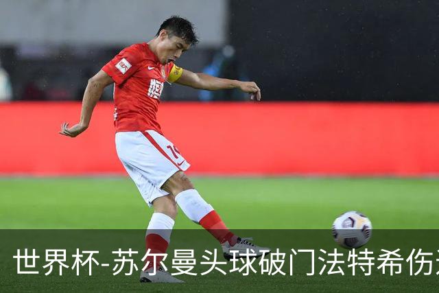 世界杯-苏尔曼头球破门法特希伤退 半场新西兰1-0埃及